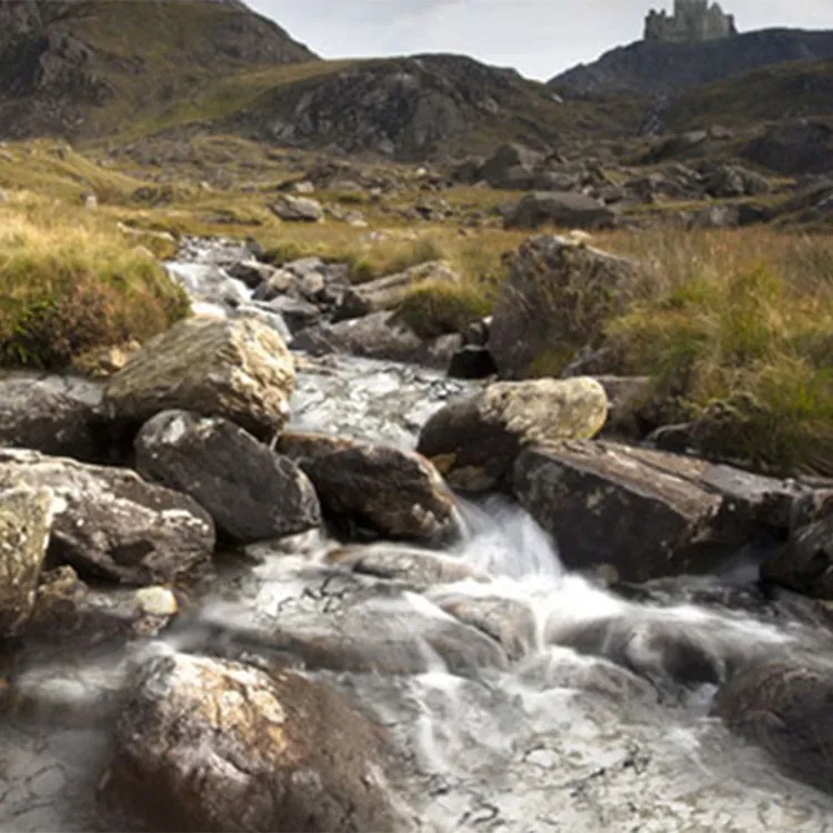 Environment | A & M Flooring And Design
